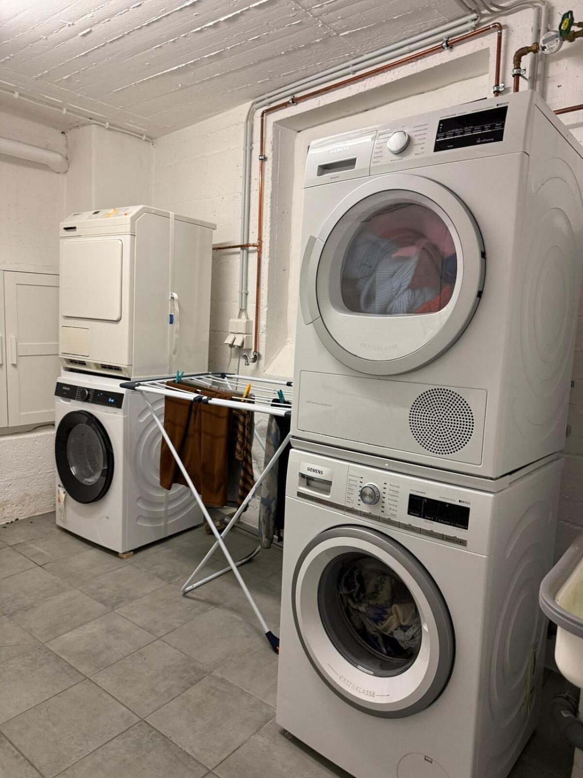 Dompanorama Der Kleine Dschungel Apartment Fuer 2-4 Pers Speyer Dış mekan fotoğraf